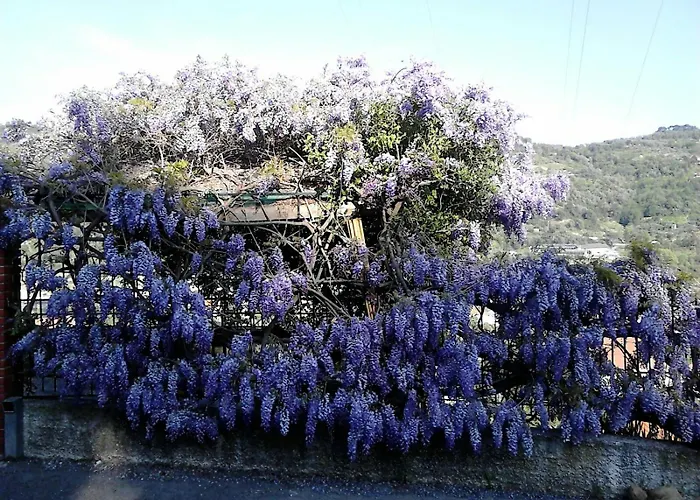 Casa Il Glicine *
